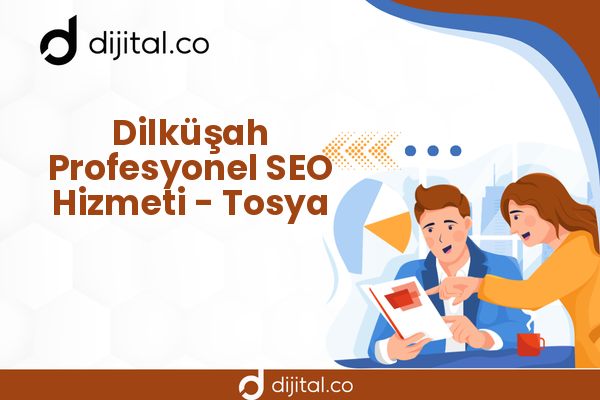 Dilküşah Profesyonel SEO Hizmeti - Tosya