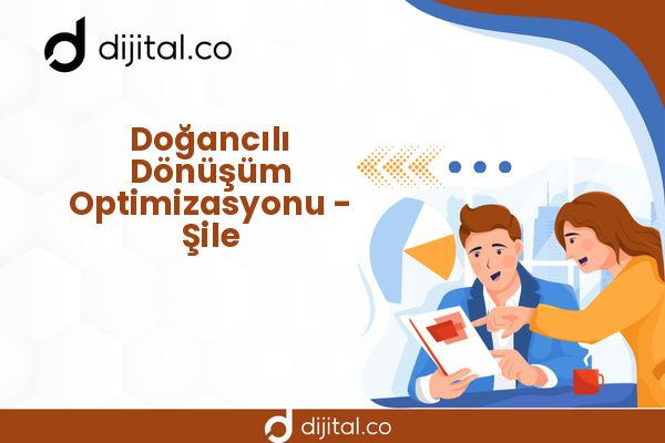 Doğancılı Dönüşüm Optimizasyonu - Şile